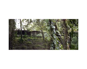 Jungle Hut Costa Rica